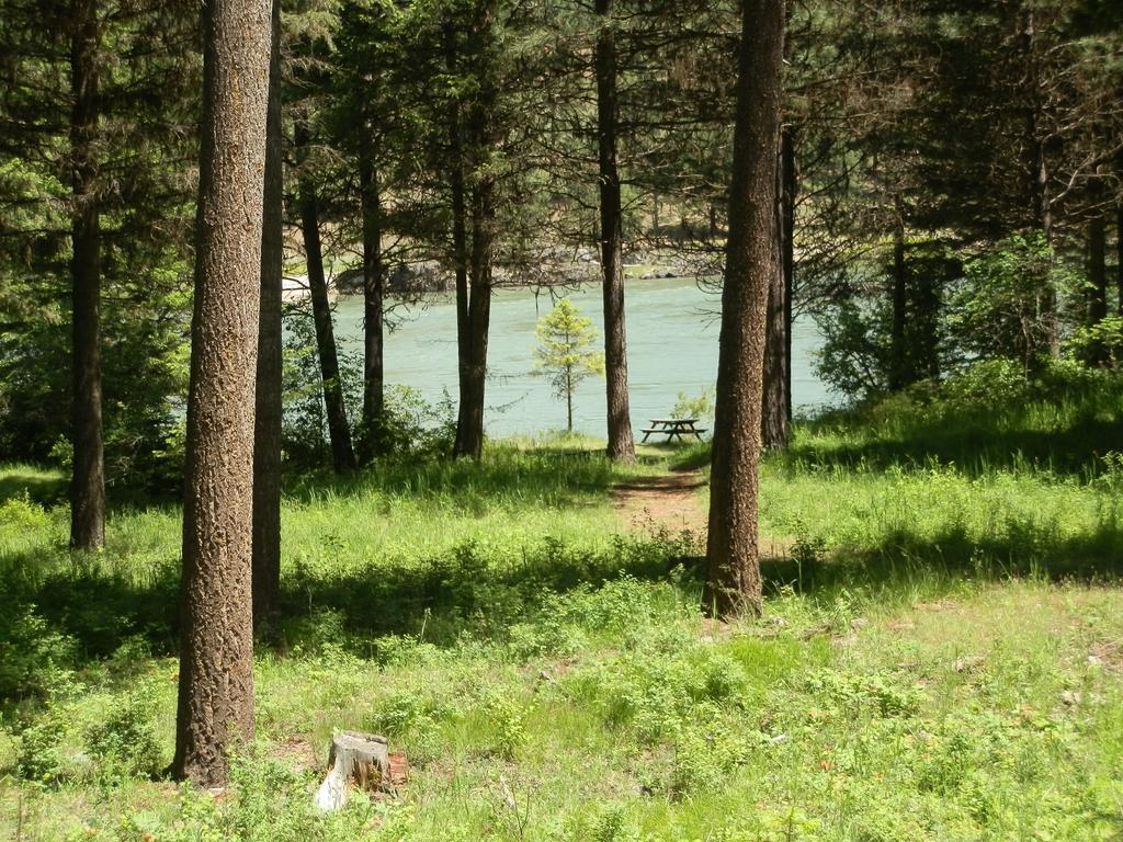 Riverfront Motel & Cabins Thompson Falls Rum bild